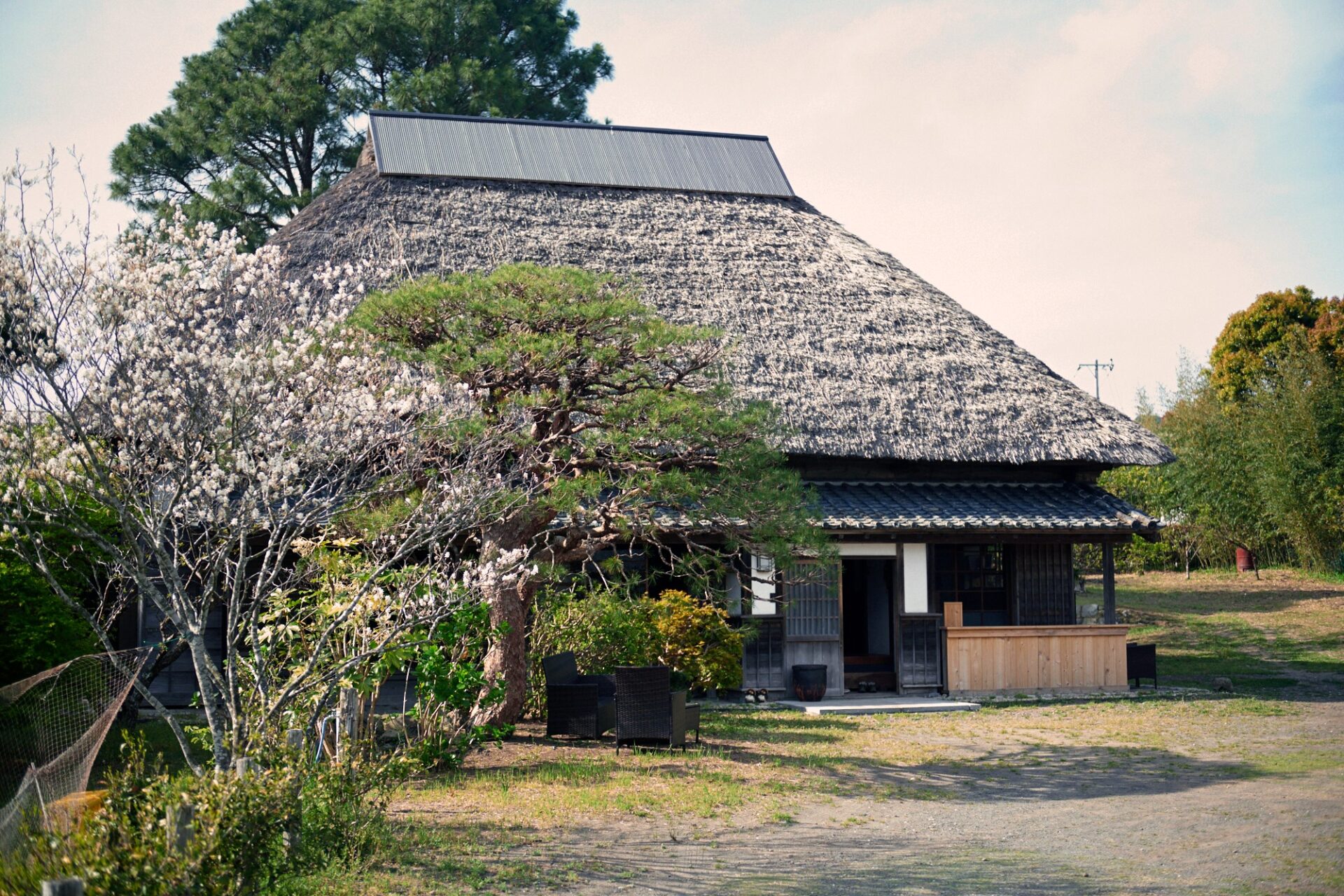 Photos by Masashi Ura